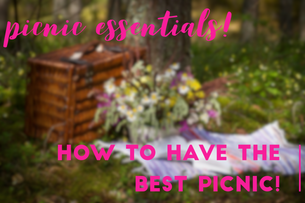 PICNIC ESSENTIALS! | How To Have The BEST Picnic