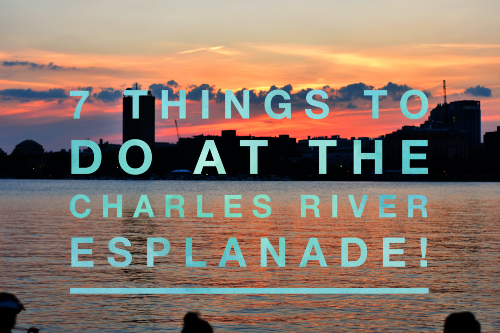 7 Things To Do At Charles River Esplanade! | Things To Do In Boston