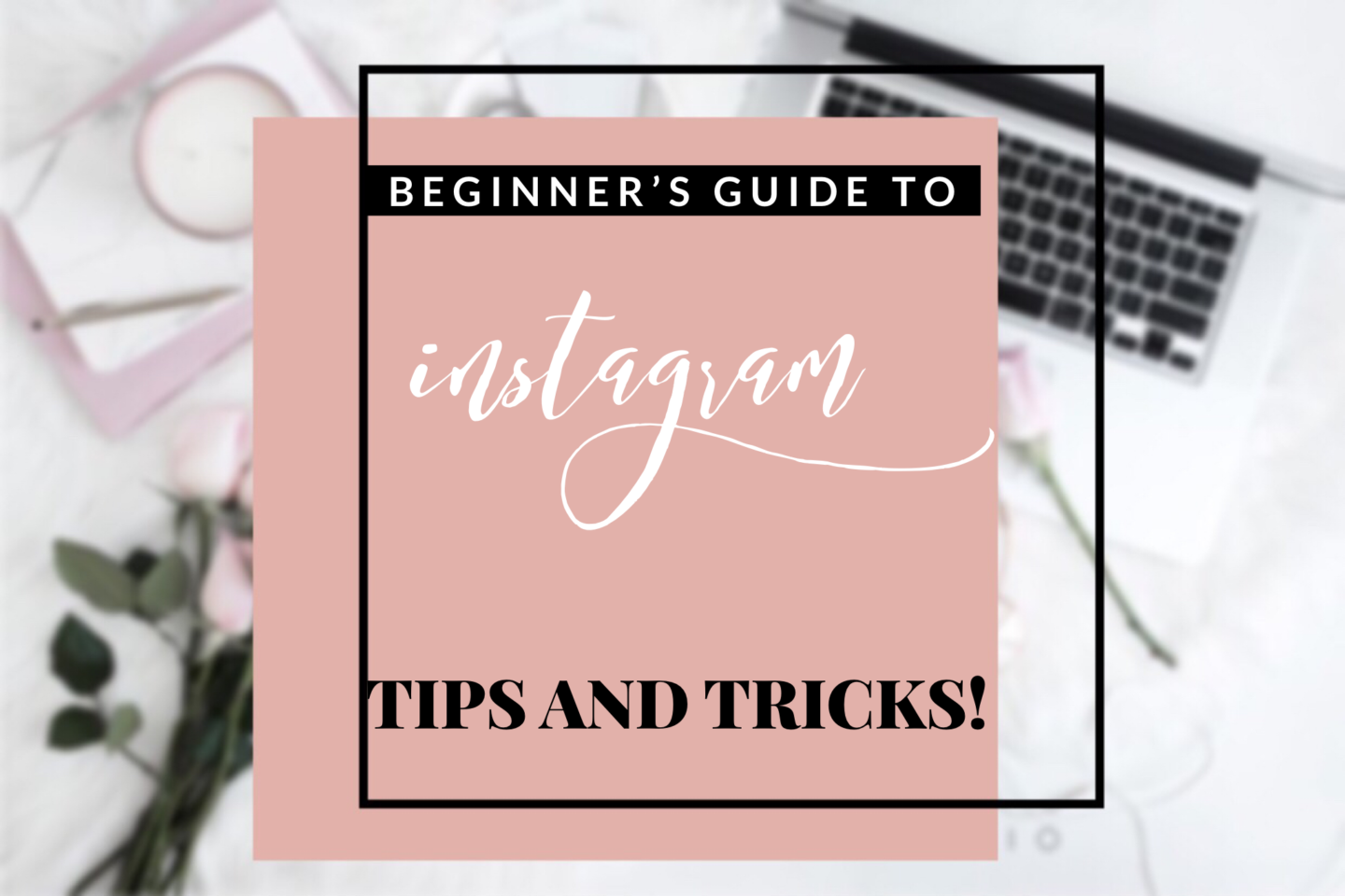 Easy Step By Step Guide To Instagram